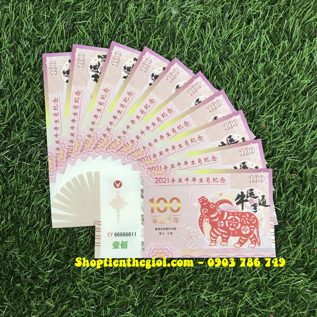Tiền 100 dola macao hình con trâu 2021 - SP002446